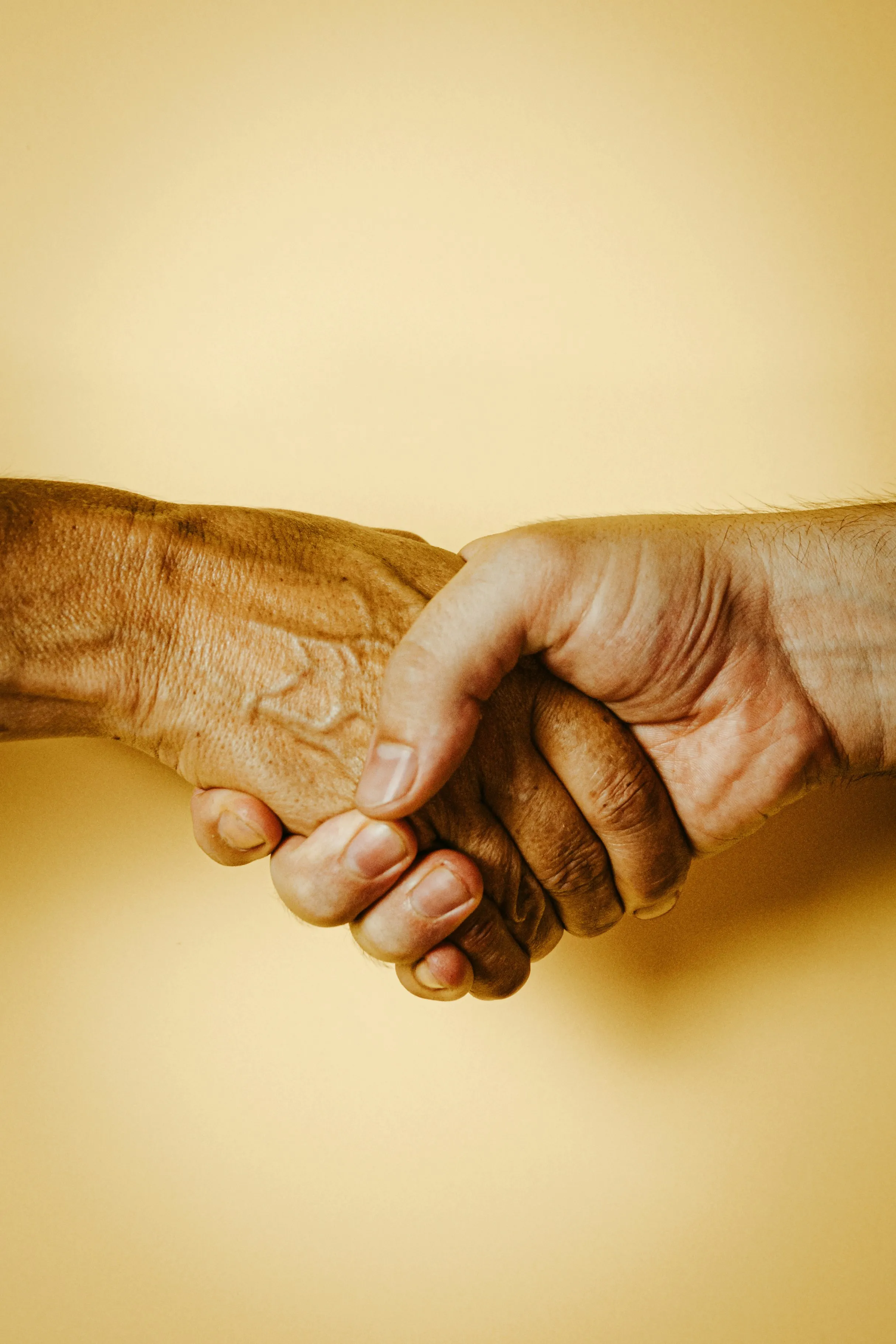 The Pivotal Care team — compassionate, qualified carers who bring warmth and expertise to every home visit in Brisbane